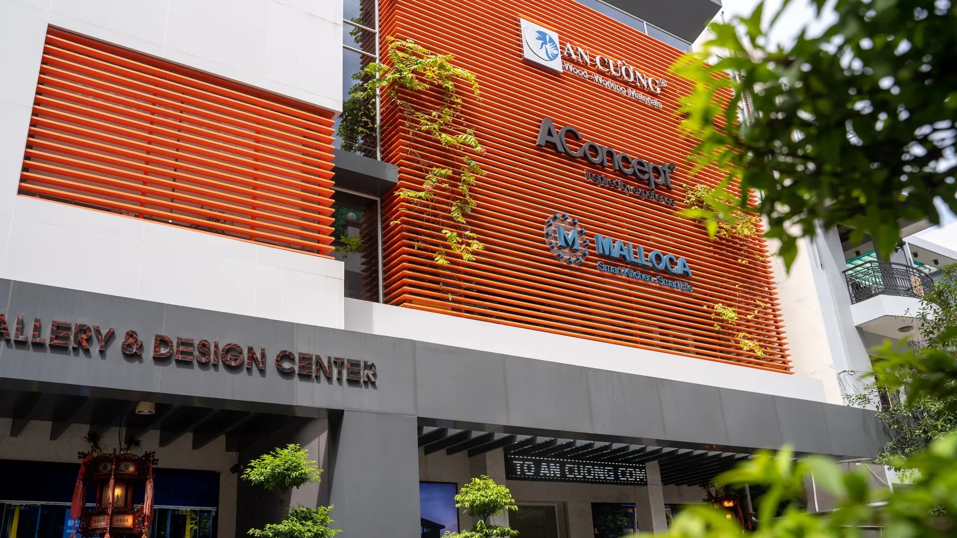 Đồng phục An Cường Library — Mon Amie