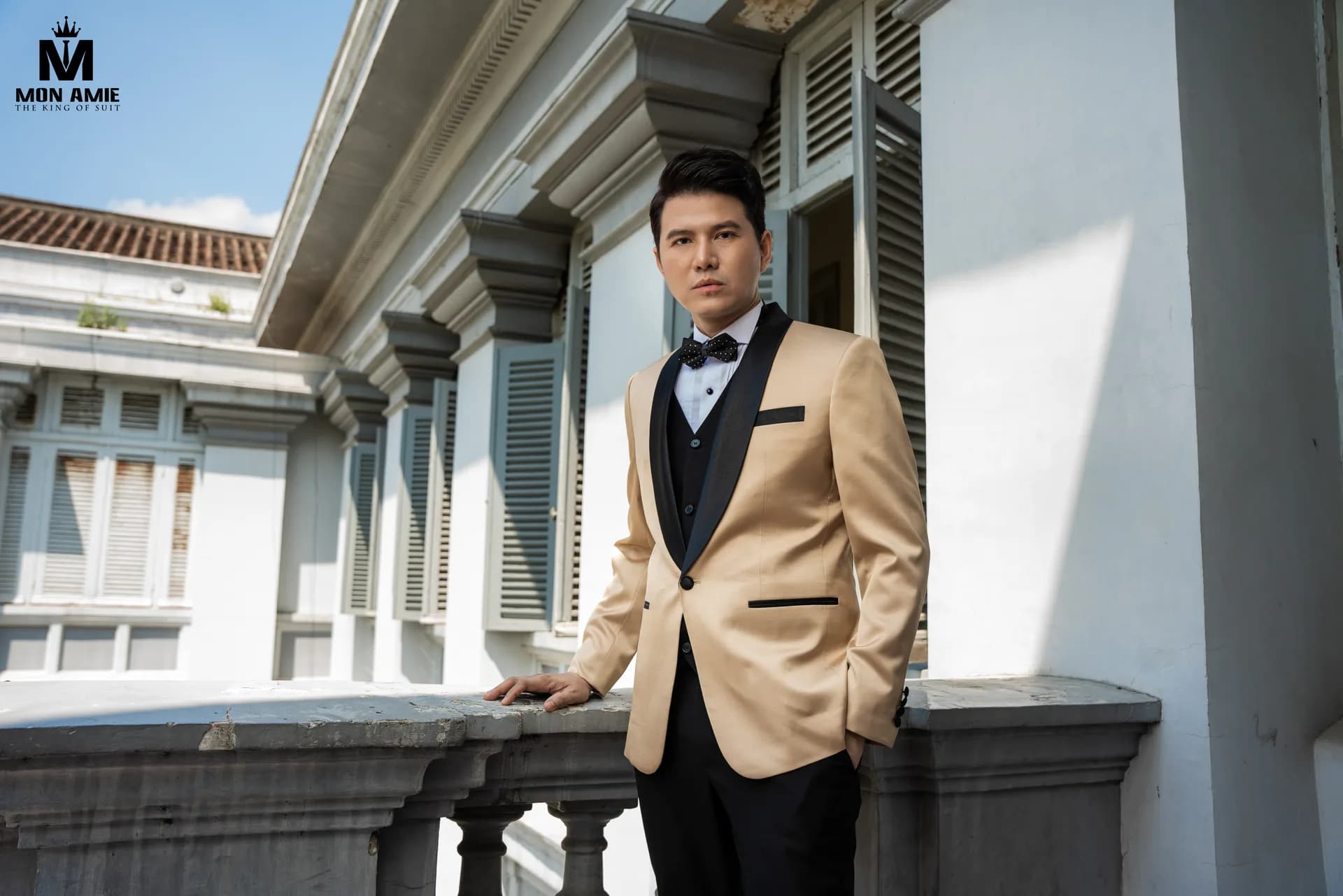 Tuxedo vàng đồng cổ ve đen trên ban công cửa chớp