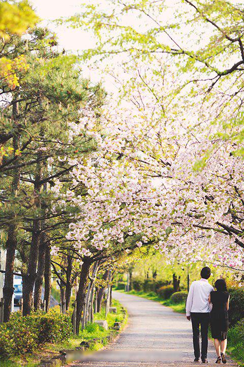 Tư vấn các địa điểm chụp ảnh cưới 2015