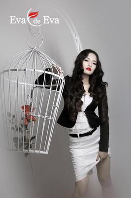 Váy Nữ Văn Phòng 33