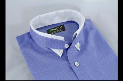 Cổ áo (kiểu 24)