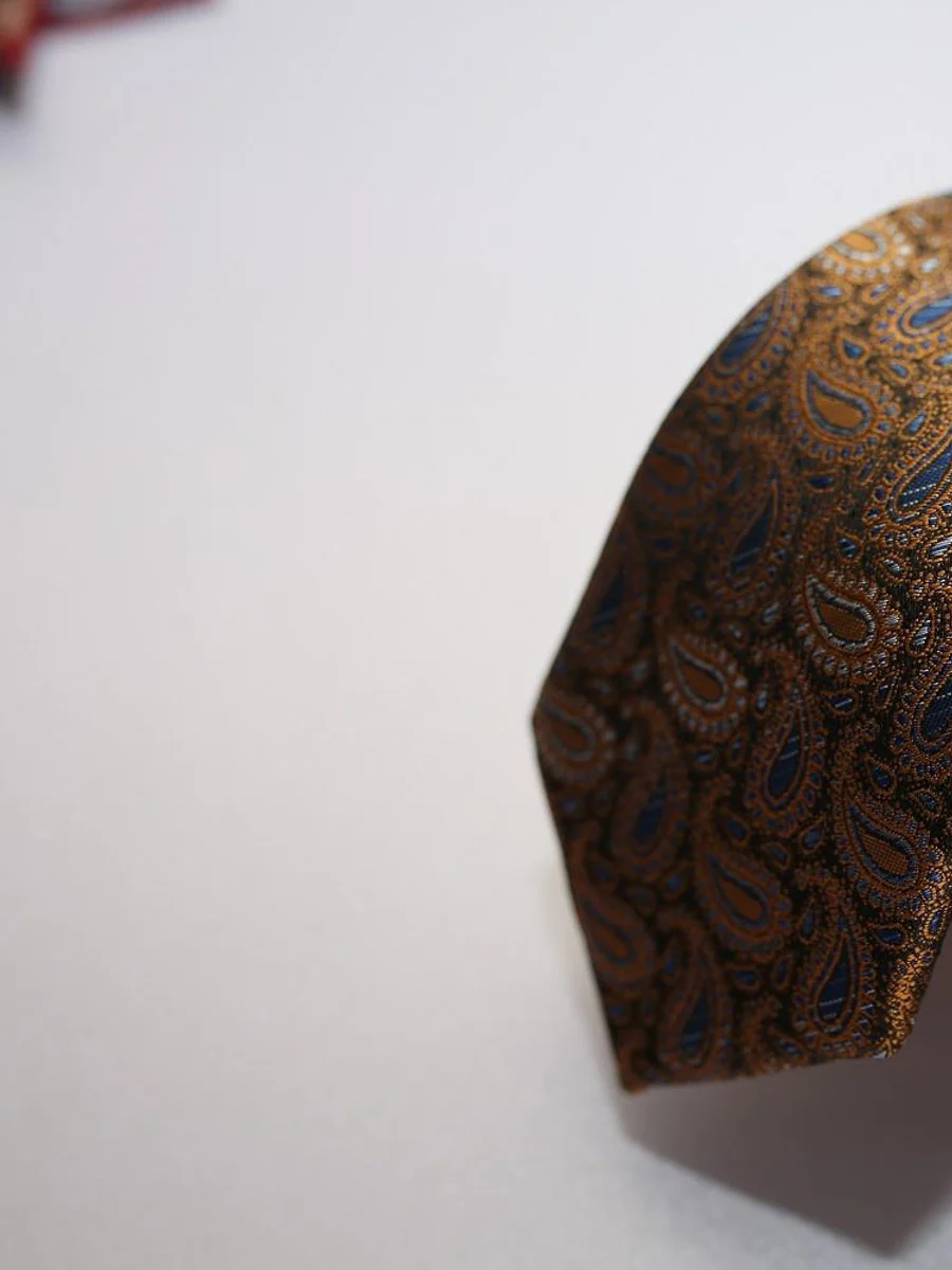 Bronze Paisley Silk Tie